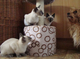 2009_BB_cidjy_semaine14etdemi_38.jpg