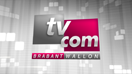 logo2009TVcom