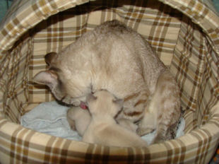 2010_AKIRA_semaine3_26.jpg