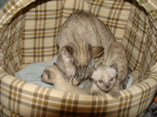 2010_AKIRA_semaine3_27.jpg
