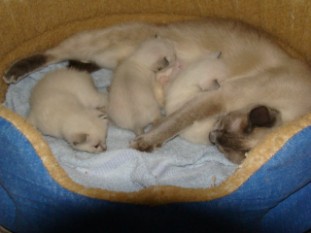 2010_CIDJY_semaine2_12.JPG