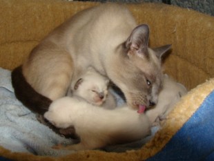 2010_CIDJY_semaine2_16.JPG