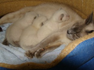 2010_CIDJY_semaine2_18.JPG