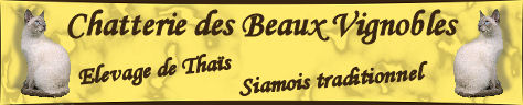 banniere_BeauxVignobles.jpg