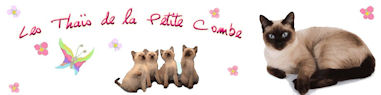 banniere_PetiteCombe.jpg