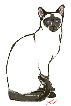 image_350sitting_siamese.jpg