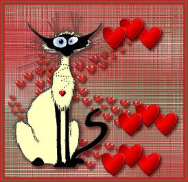 siamois_stvalentin